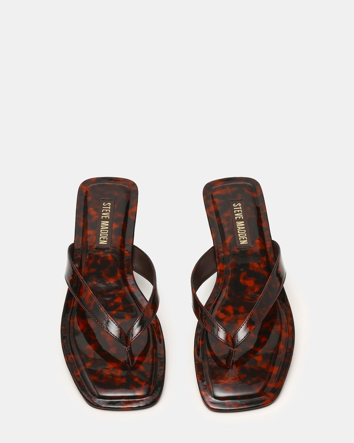 TRELLA TORTOISE  Famous | Online Store