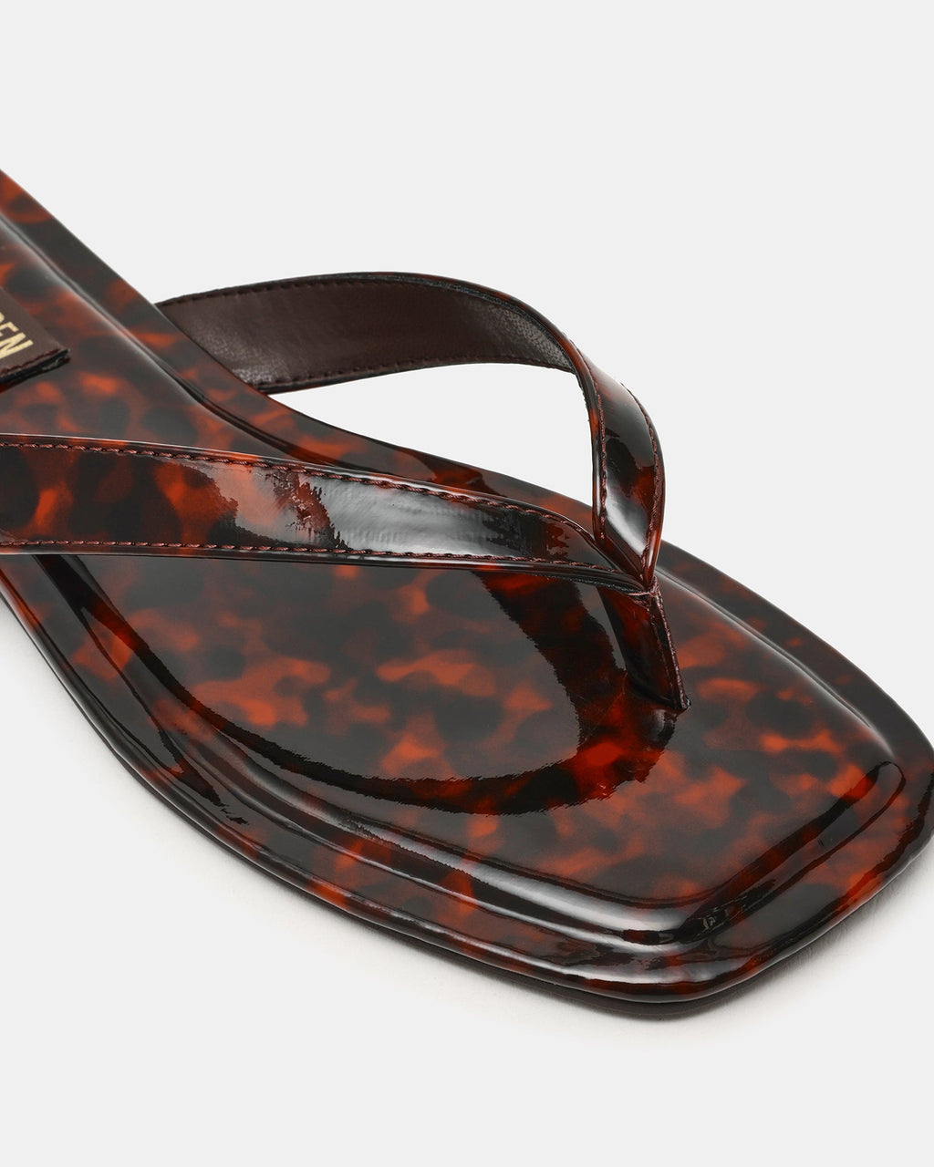 TRELLA TORTOISE  Famous | Online Store