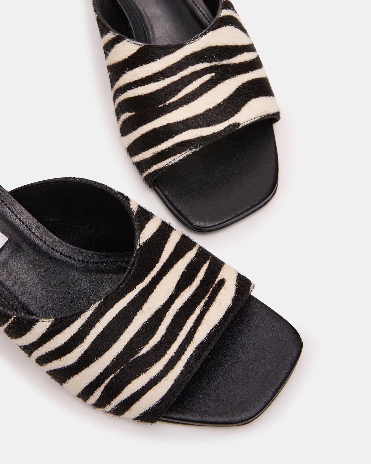 TRINA ZEBRA  Famous | Online Store