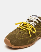 MIDAS OLIVE  Famous | Online Store